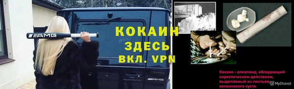 крисы Арсеньев