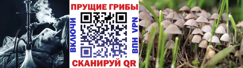 Галлюциногенные грибы Magic Shrooms  Суворов 